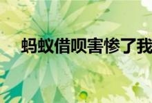 蚂蚁借呗害惨了我（具体是什么情况呢）