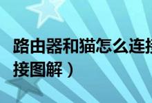 路由器和猫怎么连接设置（路由器和猫怎么连接图解）