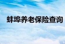 蚌埠养老保险查询 蚌埠个人养老保险查询