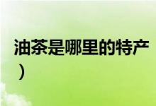 油茶是哪里的特产（油茶是四川哪里的特产吗）