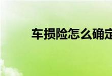 车损险怎么确定保额及车损险计算