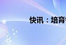 快讯：培育钻石概念股走高