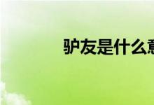 驴友是什么意思（驴友来源）