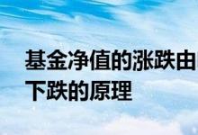 基金净值的涨跌由啥决定的 基金净值上涨和下跌的原理