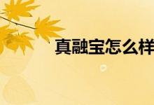 真融宝怎么样（真融宝怎么样）