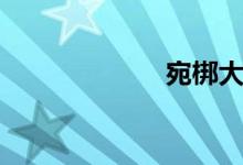 宛梆大全（宛梆）