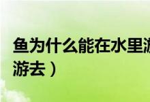 鱼为什么能在水里游（鱼为什么能在水里游来游去）