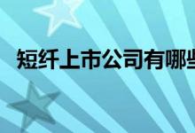 短纤上市公司有哪些（短纤概念股票介绍）