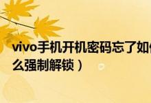 vivo手机开机密码忘了如何解锁（vivo手机开机密码忘了怎么强制解锁）