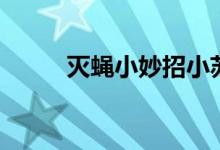 灭蝇小妙招小苏打（灭蝇小妙招）