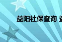 益阳社保查询 益阳个人社保卡查询