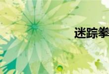 迷踪拳（迷踪拳）