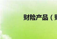 财险产品（财险产品有什么）