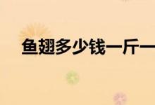 鱼翅多少钱一斤一般（鱼翅多少钱一斤）
