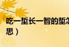 吃一埑长一智的埑怎么读（吃一埑长一智的意思）