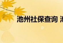 池州社保查询 池州个人社保卡查询