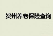 贺州养老保险查询 贺州个人养老保险查询