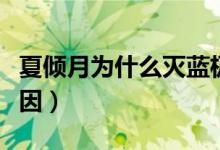 夏倾月为什么灭蓝极星（夏倾月灭蓝极星的原因）