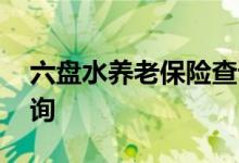 六盘水养老保险查询 六盘水个人养老保险查询