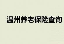 温州养老保险查询 温州个人养老保险查询