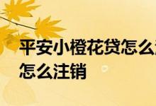 平安小橙花贷怎么注销信息 平安小橙花贷款怎么注销