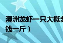 澳洲龙虾一只大概多少钱（澳洲龙虾需要多少钱一斤）