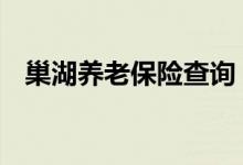 巢湖养老保险查询 巢湖个人养老保险查询