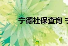 宁德社保查询 宁德个人社保卡查询
