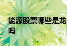 能源股票哪些是龙头股 买股票就买龙头股行吗