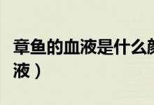 章鱼的血液是什么颜色（章鱼是什么颜色的血液）