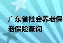 广东省社会养老保险查询 广东省社会个人养老保险查询