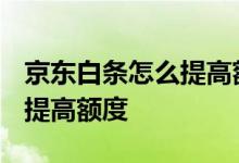 京东白条怎么提高额度到5000 京东白条怎么提高额度