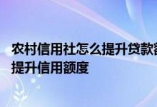 农村信用社怎么提升贷款额度 银行一般会在什么时间帮客户提升信用额度