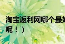 淘宝返利网哪个最好（你不知道的平台还多着呢！）