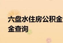 六盘水住房公积金查询 六盘水个人住房公积金查询