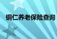 铜仁养老保险查询 铜仁个人养老保险查询