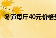 冬笋每斤40元价格贵过肉（令人难以置信）
