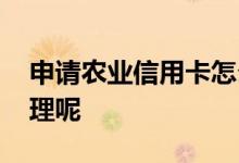 申请农业信用卡怎么办理 农业信用卡怎么办理呢