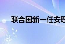 联合国新一任安理会非常任理事国产生