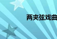 两夹弦戏曲大全（两夹弦）