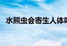 水熊虫会寄生人体吗（水熊对人类有害吗）