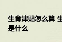 生育津贴怎么算 生育保险和生育津贴的区别是什么 