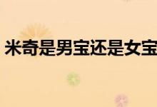 米奇是男宝还是女宝（米奇是男孩还是女孩）