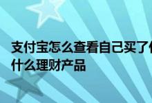 支付宝怎么查看自己买了什么理财产品 支付宝怎么看我买了什么理财产品