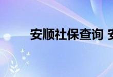 安顺社保查询 安顺个人社保卡查询