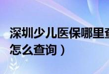 深圳少儿医保哪里查询（深圳市少儿医保账户怎么查询）