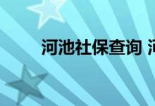 河池社保查询 河池个人社保卡查询