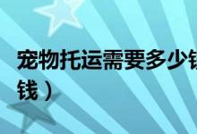 宠物托运需要多少钱火车（宠物托运需要多少钱）