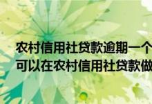 农村信用社贷款逾期一个月,还能再贷款吗 有两次逾期记录可以在农村信用社贷款做担保人吗