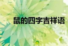 鼠的四字吉祥语（关于鼠的四字词语）